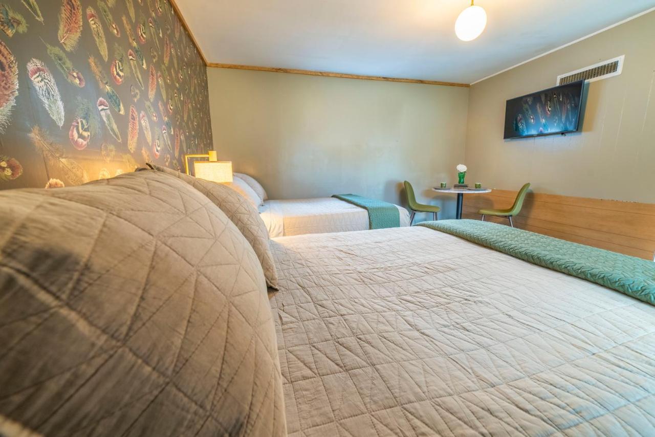 The Springs Motel New Ashford Exteriér fotografie